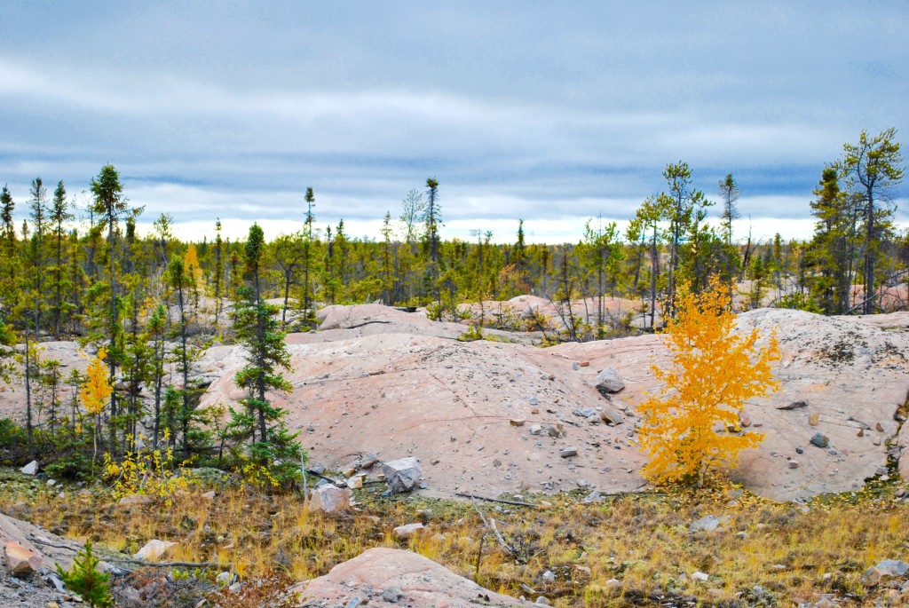 North of the 60th Parallel - Yellowknife, North West Territories ...